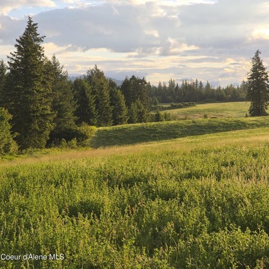 Build your dream rural escape with ultimate freedom on Harrison - photo 10