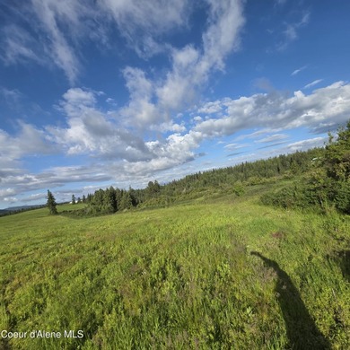 Escape to this stunning 34-acre parcel on Harrison Flats - photo 1