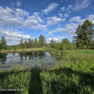 Escape to this stunning 34-acre parcel on Harrison Flats - photo 3