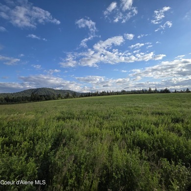 Escape to this stunning 34-acre parcel on Harrison Flats - photo 5
