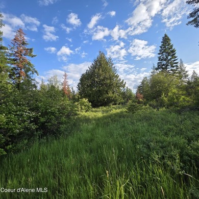 Escape to this stunning 34-acre parcel on Harrison Flats - photo 6