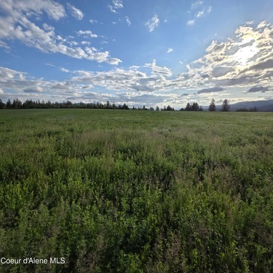 Escape to this stunning 34-acre parcel on Harrison Flats - photo 8