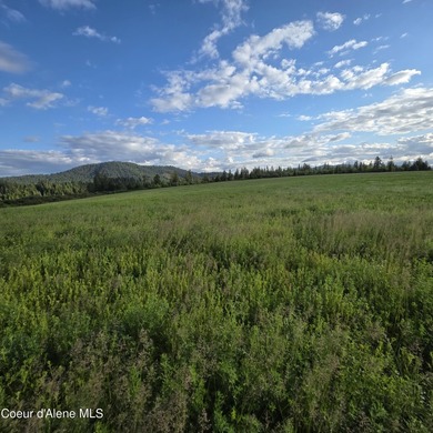 Escape to this stunning 34-acre parcel on Harrison Flats - photo 9