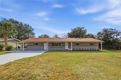 (private lake, pond, coastal) Home For Sale in Clermont Florida