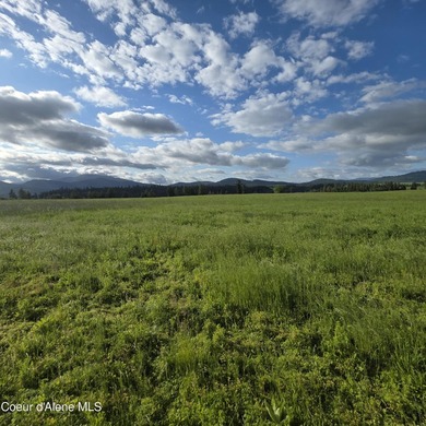 This exceptional 20-acre partially treed parcel on Harrison - photo 2