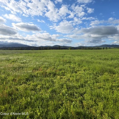 This exceptional 20-acre partially treed parcel on Harrison - photo 4
