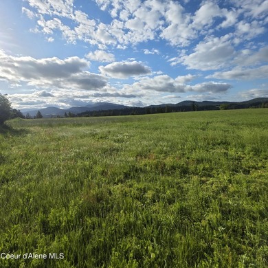 This exceptional 20-acre partially treed parcel on Harrison - photo 5