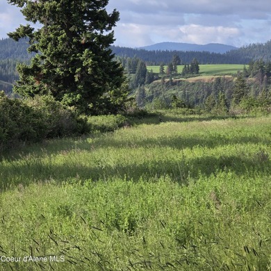 This exceptional 20-acre partially treed parcel on Harrison - photo 6