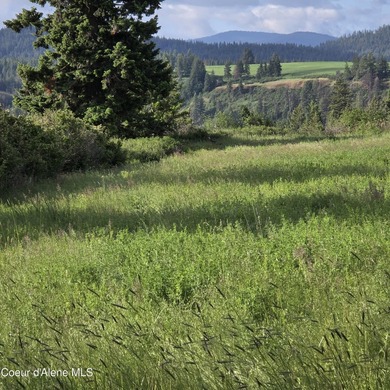 This exceptional 20-acre partially treed parcel on Harrison - photo 7