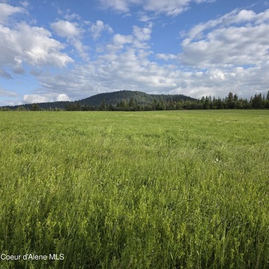 This exceptional 20-acre partially treed parcel on Harrison - photo 9