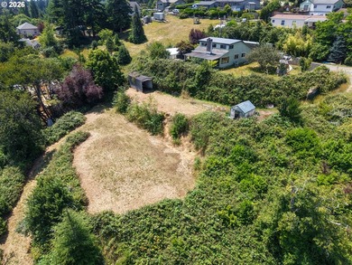43-acre hilltop terraced lot offering beautiful views of the - photo 4