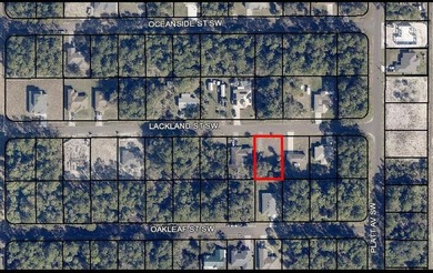 Beautiful Lot Close to Road in Palm Bay. Great location to build - photo 1
