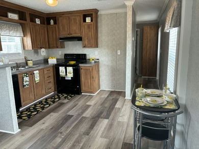 What's better than an apartment? Renting a home at Palm Haven SP - photo 1