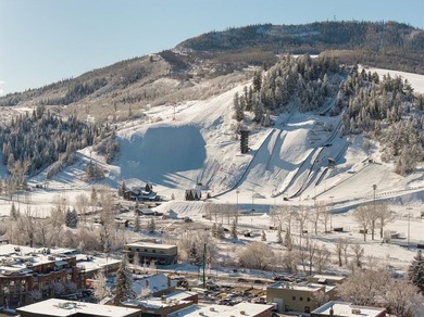 The Emerald is a rare opportunity to claim a piece of downtown - photo 10