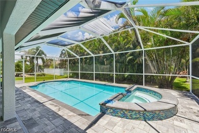 Beautifully updated Cape Coral pool home with all the major - photo 31