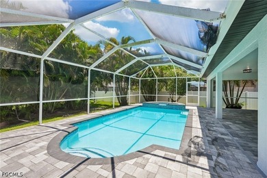 Beautifully updated Cape Coral pool home with all the major - photo 33