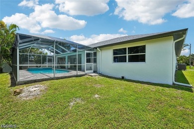 Beautifully updated Cape Coral pool home with all the major - photo 34