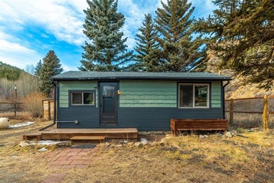 Lake Home For Sale in Grant, Colorado