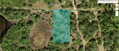 Reedy Lake Lot For Sale in Frostproof Florida