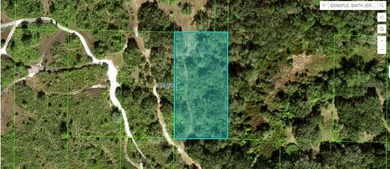 Reedy Lake Lot For Sale in Frostproof Florida