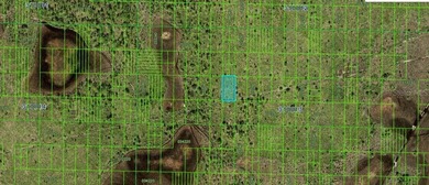 Nice opportunity to own 1.27 acres of vacant  land in Frostproof - photo 3