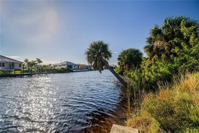 Imagine building your dream pool home with a boat dock and - photo 11