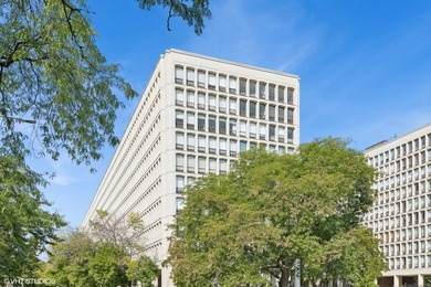 Lake Michigan - Cook County Condo For Sale in Chicago Illinois