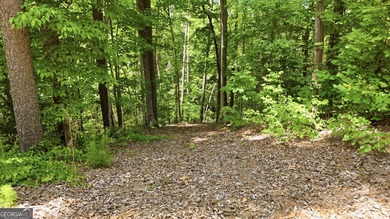 Discover the perfect opportunity to build your dream home on - photo 5