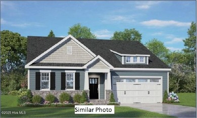 203 Strawberry Acres Dr Tidewater Model in Strawberry Acres by - photo 1