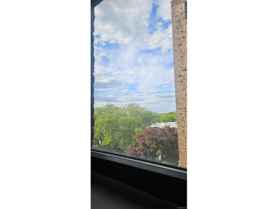 This charming Crestwood Co-op corner unit includes one bedroom - photo 12