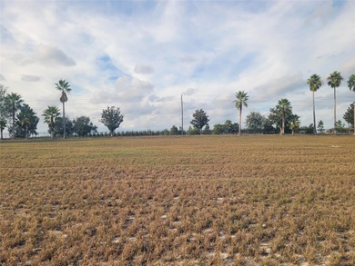 Cherry Lake - Lake County Lot For Sale in Groveland Florida