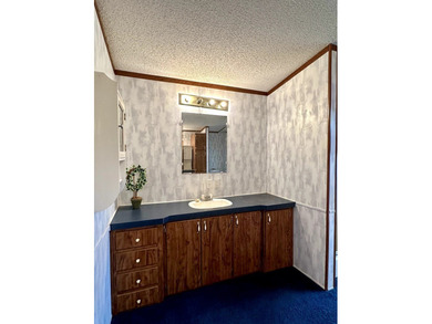NEW PRICE! Calling CASH buyers! Discover this .46-acre - photo 16