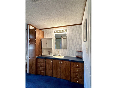 NEW PRICE! Calling CASH buyers! Discover this .46-acre - photo 18