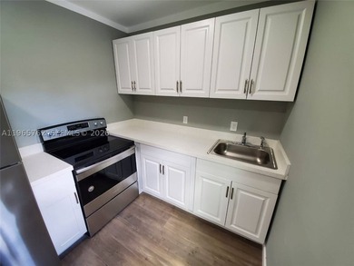 Investment Opportunity - High Cash Flow Triplex (Cash Only) - photo 8