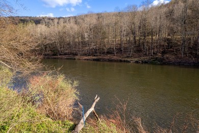 A beautiful and very privately situated 2 acre vacant lot on one - photo 11