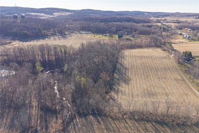 Don't miss this once-in-a-lifetime opportunity to own 34 acres - photo 2