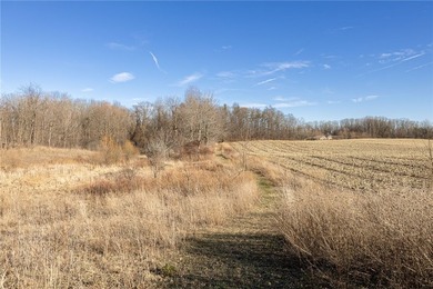 Don't miss this once-in-a-lifetime opportunity to own 34 acres - photo 3