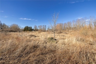 Don't miss this once-in-a-lifetime opportunity to own 34 acres - photo 5