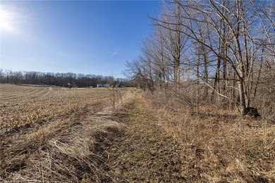 Don't miss this once-in-a-lifetime opportunity to own 34 acres - photo 9