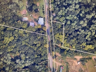 Affordable .53 acre lot in the countryside with no restrictions! - photo 1