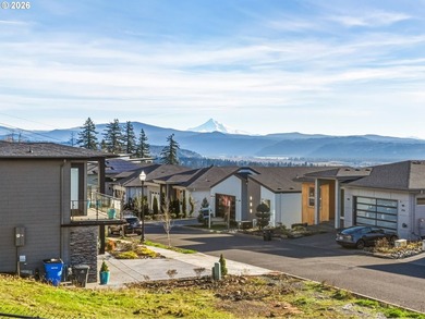 An exceptional opportunity awaits in Lookout Ridge with this - photo 4