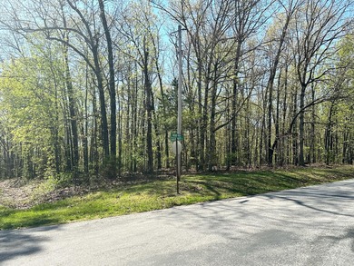 Lake Acreage For Sale in Cape Fair, Missouri