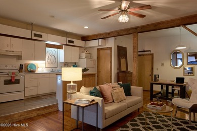 Downtown living or income producing  property! This historical - photo 5