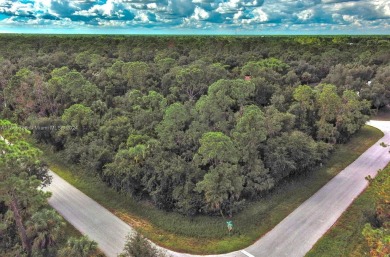 Port Charlotte Waterway Lakes Area Lot For Sale in Port Charlotte Florida