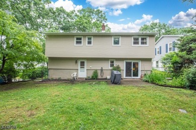 Meticulously Maintained 3 Bedroom 1.5 Bath Bi-level. Nice Curb - photo 18