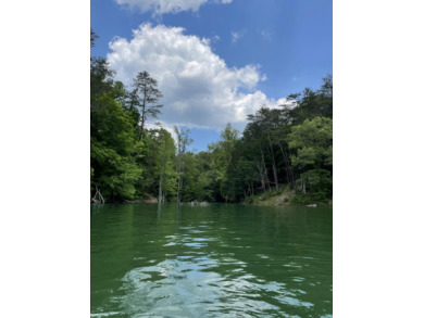 Norris Lake Acreage For Sale in Caryville Tennessee