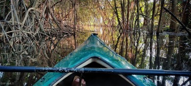 GULF ACCESS FOR THE PRICE OF A DRY LOT? Yes, by kayak presently - photo 4