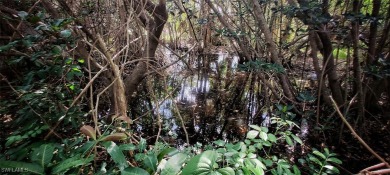 GULF ACCESS FOR THE PRICE OF A DRY LOT? Yes, by kayak presently - photo 5