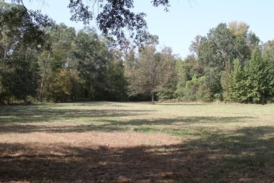 Approximately 175 acres in prime MS hunting country! This - photo 11