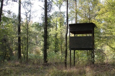 Approximately 175 acres in prime MS hunting country! This - photo 12